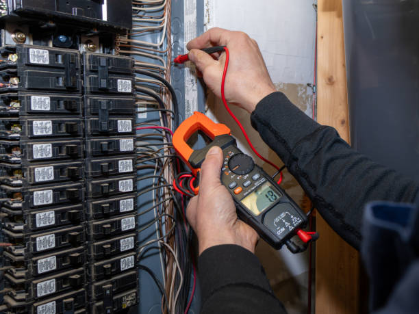 Best Ceiling Fan Installation Electrician  in Garden City, MI